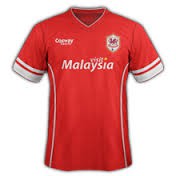 Cardiff City 2014-2015